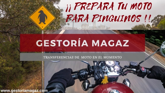 Prepara tu moto para Pinguinos en Gestoría Magaz - Pinta tu carreta y prepara tu moto para Pinguinos 2020